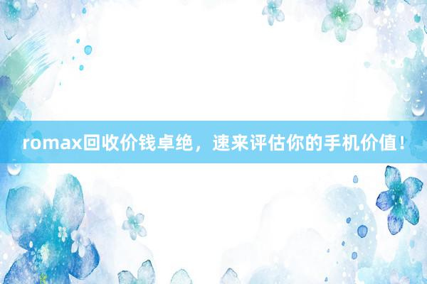 romax回收价钱卓绝，速来评估你的手机价值！